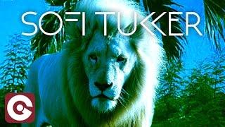 SOFI TUKKER - Hey Lion: Electric Beats & Mesmerizing Vocals!