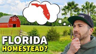 Why I Chose FLORIDA For My Future HOMESTEAD