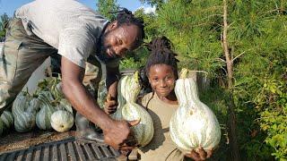 Come Harvest Cushaw Squash with Us!