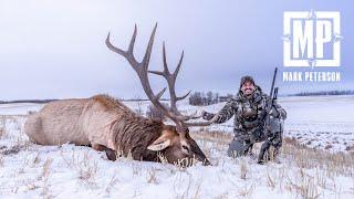 Late Season Snowy Alberta Elk Hunt | Mark Peterson Hunting