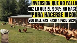 como iniciar un proyecto de gallinas ponedoras y ganar dinero paso a paso