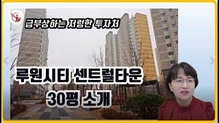 급부상하는 저렴한 투자처 루원시티 센트럴타운 - 센트럴부동산 한명화