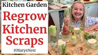 10 Vegetables You Can Regrow from Kitchen Scraps to Create a Recurring Harvest