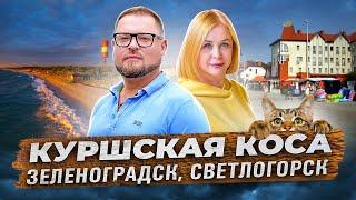 Куршская коса и Курортные города области – Зеленоградск и Светлогорск.