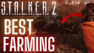 BEST Artifact FARMING Locations Stalker 2