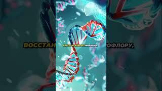Согласны с Мечниковым? #здоровье #зож #польза #совет #советы #пп #рецепт #ссср