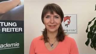 Saddlefit 4 Life Markengeschichte
