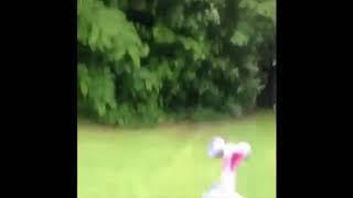 another dumb vine compilation because rip vine or some crap like that