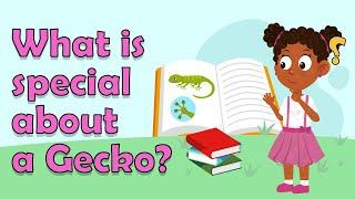 What is special about a Gecko? | Gecko Facts for Kids | Geckos Explained for Kids | Lizard facts