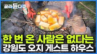 전 세계 오지 여행하고 돌아온 배우가 계곡 딸린 400년 된 할머니 흙집에서 1박 하면 밥 한 끼 차려주는 강원도 정선 오지 게스트 하우스┃한여름 촌캉스 여행┃한국기행┃#골라듄다큐