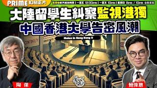 Chapter 941：大陸留學生糾察監視港獨 中國香港大學告密風潮｜風雲谷｜2024/11/22