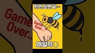 벌은 왜 한번 쏘면 죽을까요? 알고 나면 안쓰럽다… #shorts