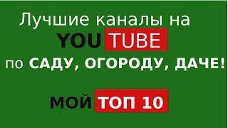 Топ 10 каналов youtube про сад, огород, дачу