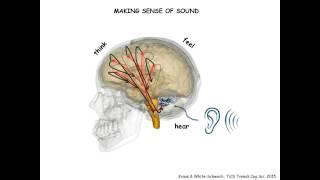 Neurobiology of Literacy: Listening to the Learning Brain (Nina Kraus)