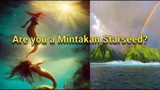 Mintakan Starseed| Origin, History, Landscape, Characteristics ‍️