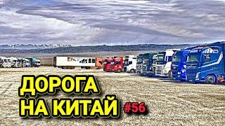 Я В ШОКЕ | САМАЯ КРАСИВАЯ ДОРОГА КАЗАХСТАНА | БЕЛАРУС ДАЛЬНОБОЙ #56