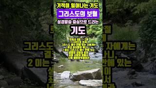 그리스도의 보혈 | 기적이 일어나는 기도 | #말씀조은tv #조현상목사 #목양교회 #성경암송 #큐티 #1분말씀묵상 #기도 #기도문 #대표기도문