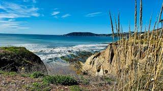 Lunch with a view @ Lido’s in Shell Beach- Our Life #foodreview #pacificocean #outdoordining #yum