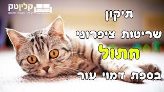 תיקון שריטות חתול בספת דמוי עור | קלינטק | 03-9529697