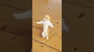 узбекская песня. Танцующий кот