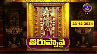 Dhanurmasotsavam || Tiruppavai || Tirumala || Day 08 || 23-12-2024 || SVBC TTD