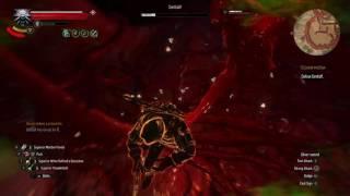 Dettlaff Witcher 3 Wild Hunt How to Beat Dettlaff on Death March