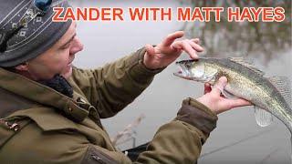 Beneath the Waterline Zander with Matt Hayes  (Part 4 of 5)