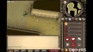 07Scape | Low level Kalphite guide | Slayer