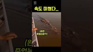 물에 막대기를 던져넣자…