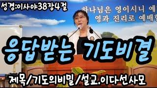 #기도의 비밀/이다선사모#이다선 힐링시낭송 #시낭송ㅡ영상제작/이다선