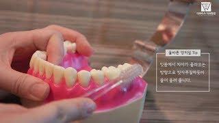 [더와이즈치과병원] 올바른 양치법