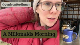 A Milkmaids Morning