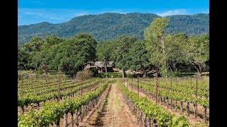 Exquisite Vineyard in Glen Ellen, California | Sotheby's International Realty