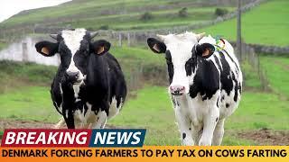 BREAKING NEWS: DENMARK FORCING FARMERS TO PAY TAX ON COWS FARTING