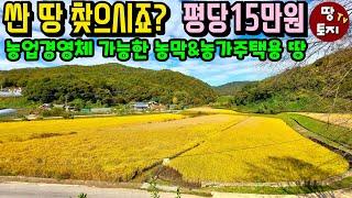 맹지보다 더 싸다! 농막 농가주택 건축 가능한 저렴한 급매 토지 소액 텃밭 주말농장 땅 농업직불금 농업경영체 귀농 귀촌 토지 입지 위치 경치 풍경 좋은 아름다운 땅 1억대 2억이하