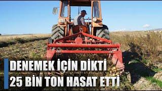 Denemek İçin Dikti İki İlçeye Geçim Kaynağı Oldu! 25 Bin Ton Hasat / AGRO TV HABER