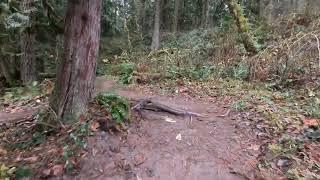 Beautiful Sandy River And Oxbow Park