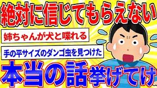 お前らが体験した人に言っても信じてもらえない実話【2ch面白いスレゆっくり解説】