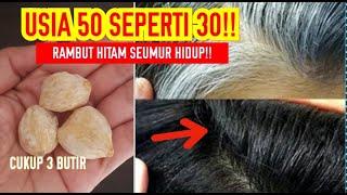 KEMBALI MUDA!!  DI SANGKA SEMIRAN!!  RAMBUT UBAN JADI HITAM  SAMPAI AKARNYA!!