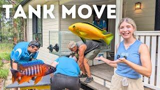 Moving my AFRICAN CICHLID Aquariums! (FULL MOVE)