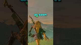 Can You Beat Tears of the Kingdom with NO STAMINA? #totk #shorts #botw