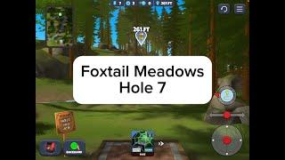 Foxtail Meadows, Hole 7 : Disc Golf Valley