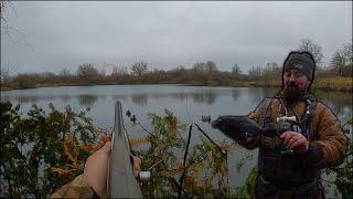 Duck Hunting MY FARM PONDS (CATCH CLEAN COOK)