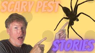 Scary Pest Stories