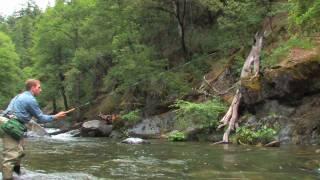 Tenkara fly-fishing