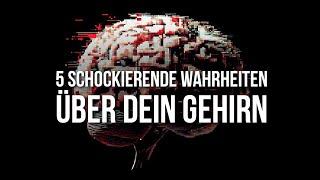 5 schockierende Wahrheiten über dein Gehirn, die dein Leben verändern werden