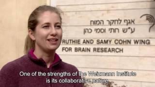 A Direct PhD Program In Neuroscience and Brain Sciences at the Weizmann Institute of Science 2