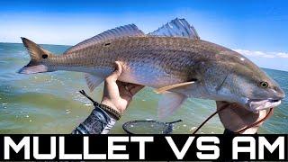 Cut Mullet VS AM Lures | South Texas FISHING CHALLENGE