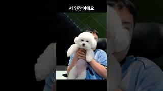 저 인간이에요