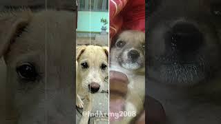 Dolly&Rocky then v/s now
